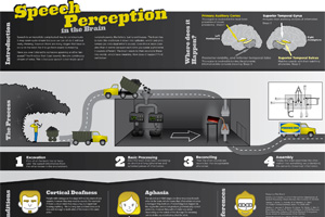 Thumbnail of Speech Perception infographic.